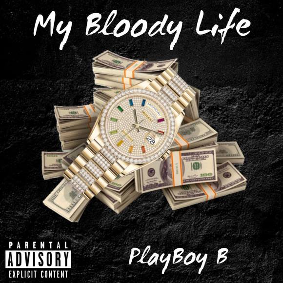 Meet your Posher, Michael - Picture 1 of 1